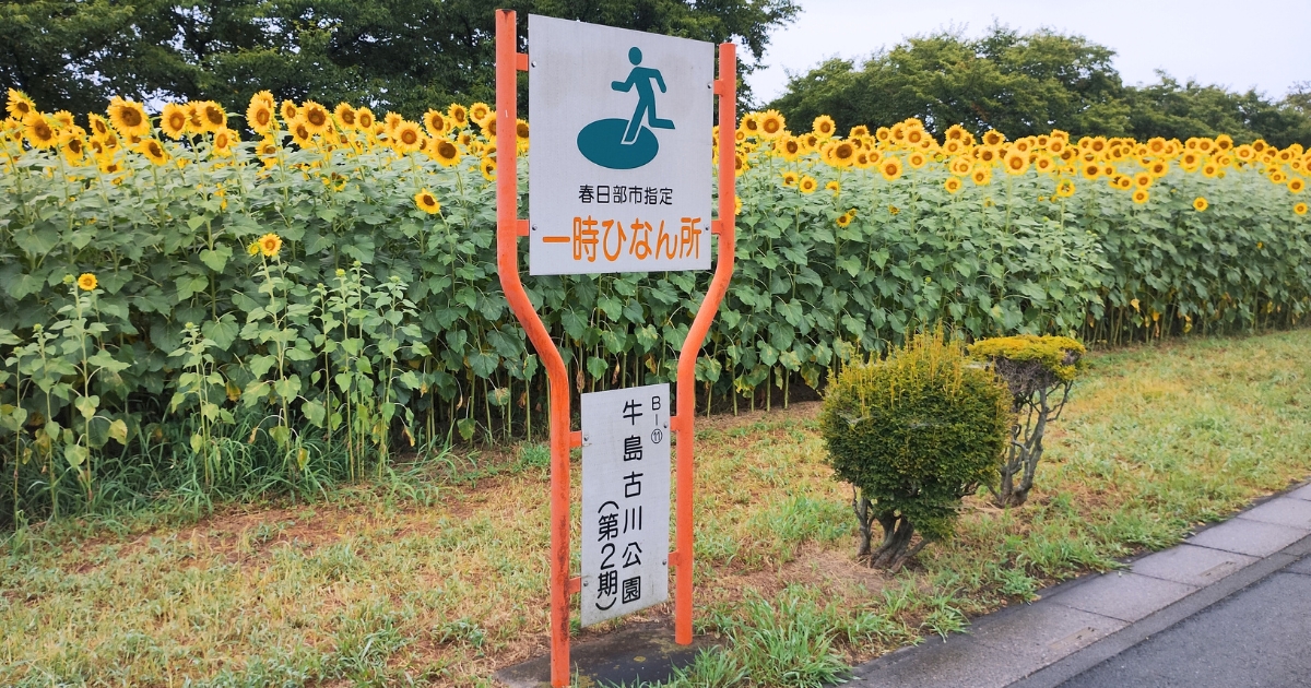 牛島古川公園(第2期)の看板