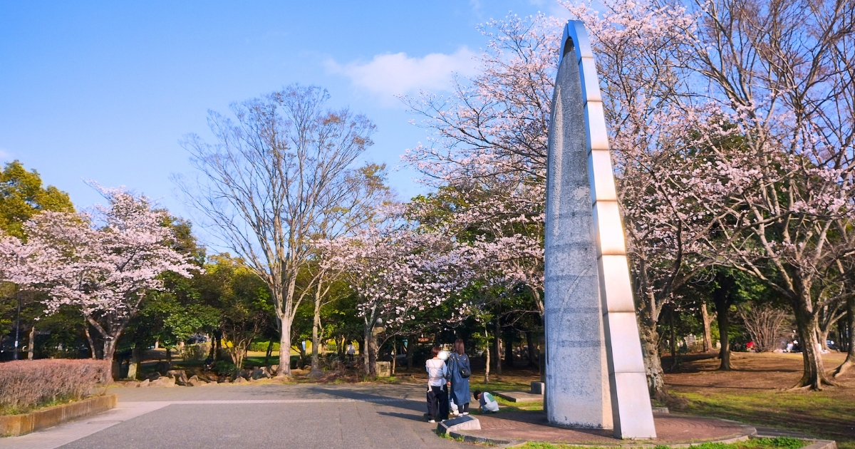 庄和総合公園の桜