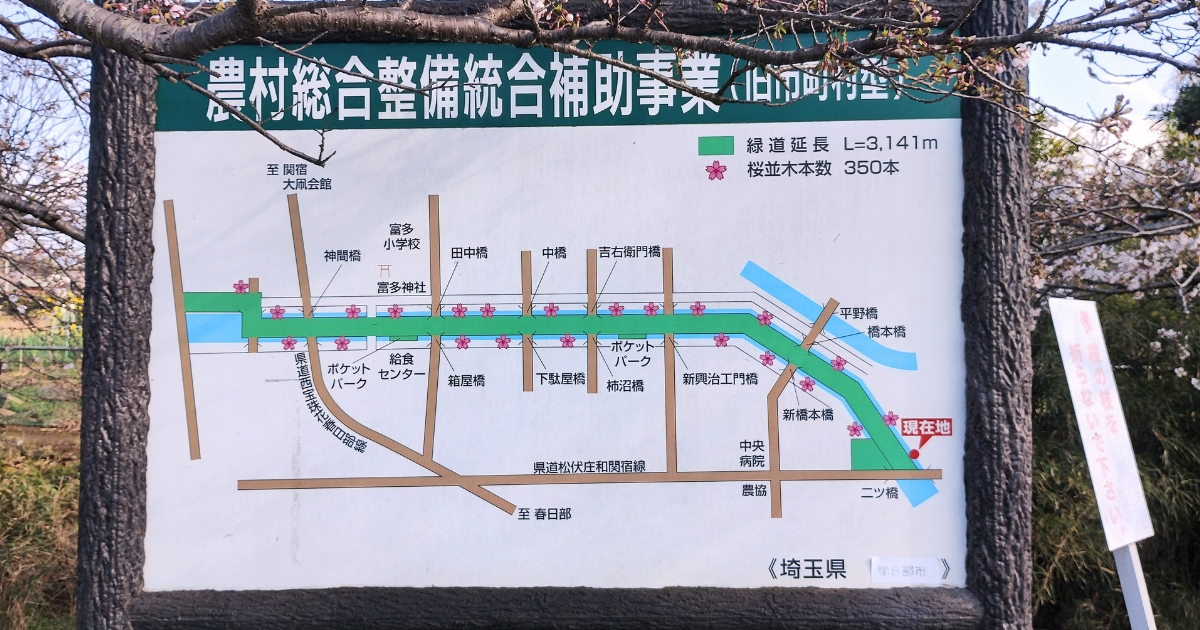 さくら公園の桜並木マップ