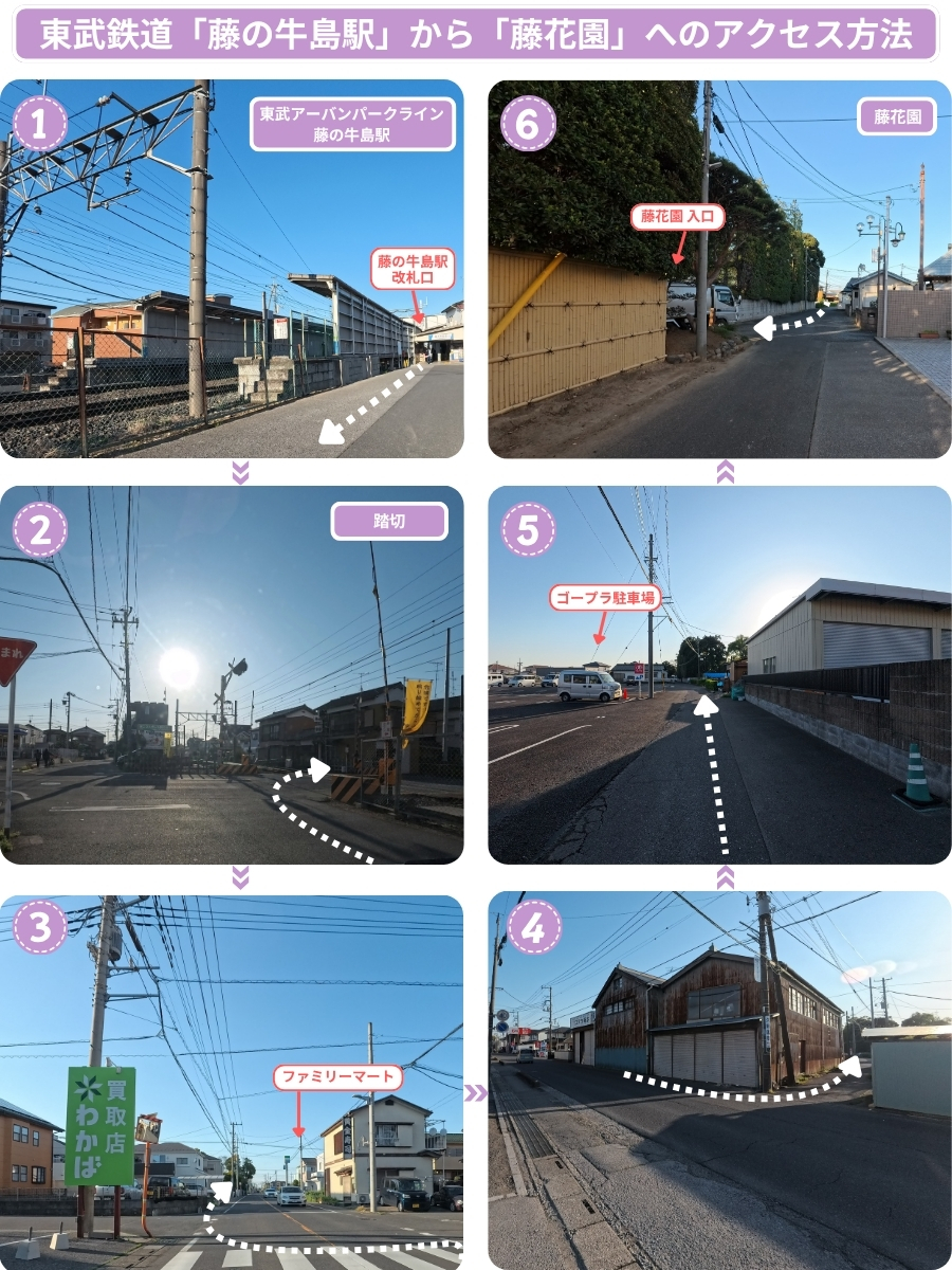 藤の牛島駅から藤花園へのアクセス方法