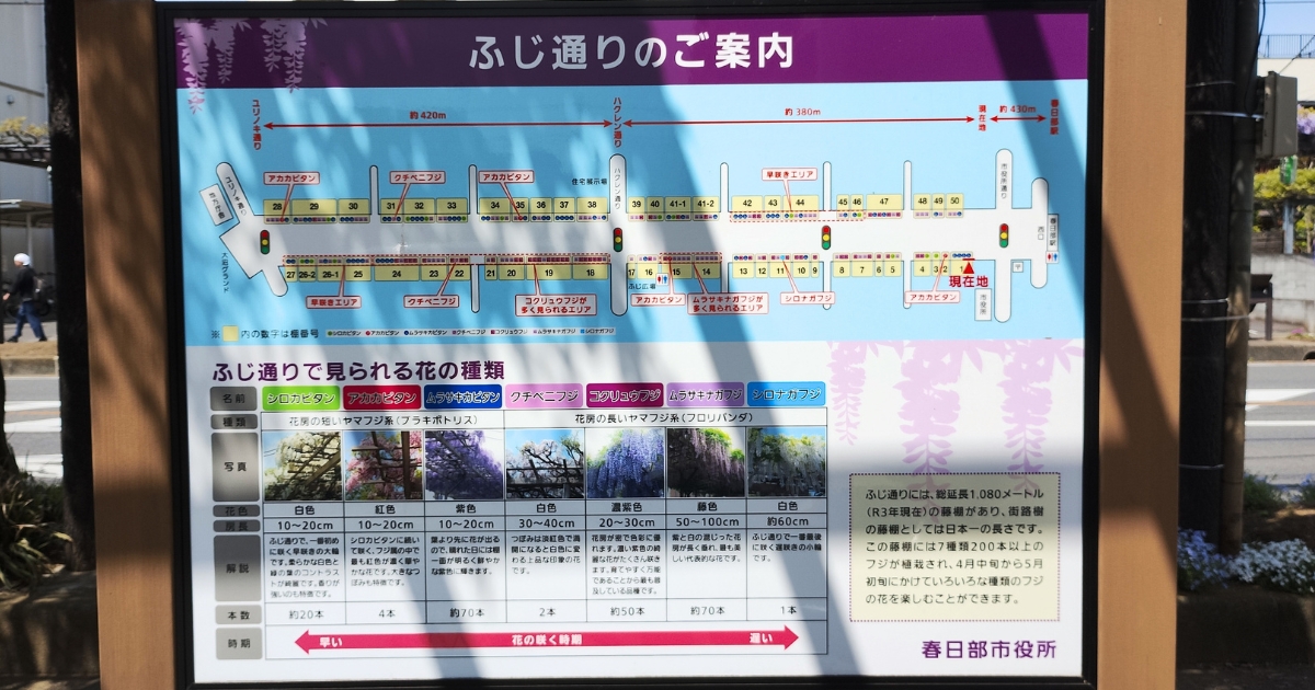 春日部ふじ通りで見られる花の種類の案内板