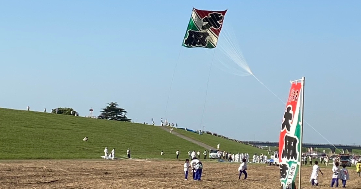 春日部大凧あげ祭り（2024年撮影）