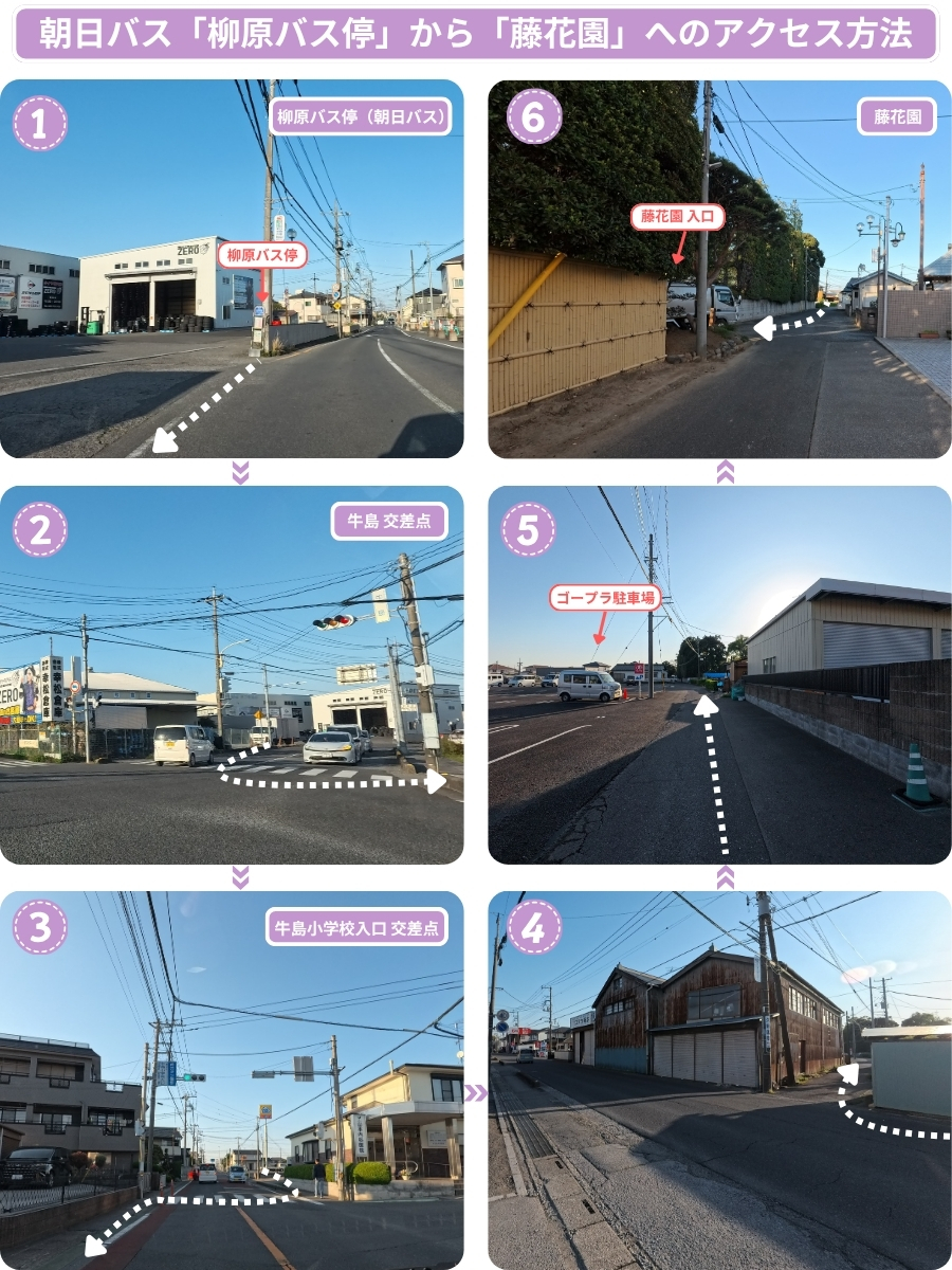 朝日バス柳原バス停から藤花園までの徒歩ルート