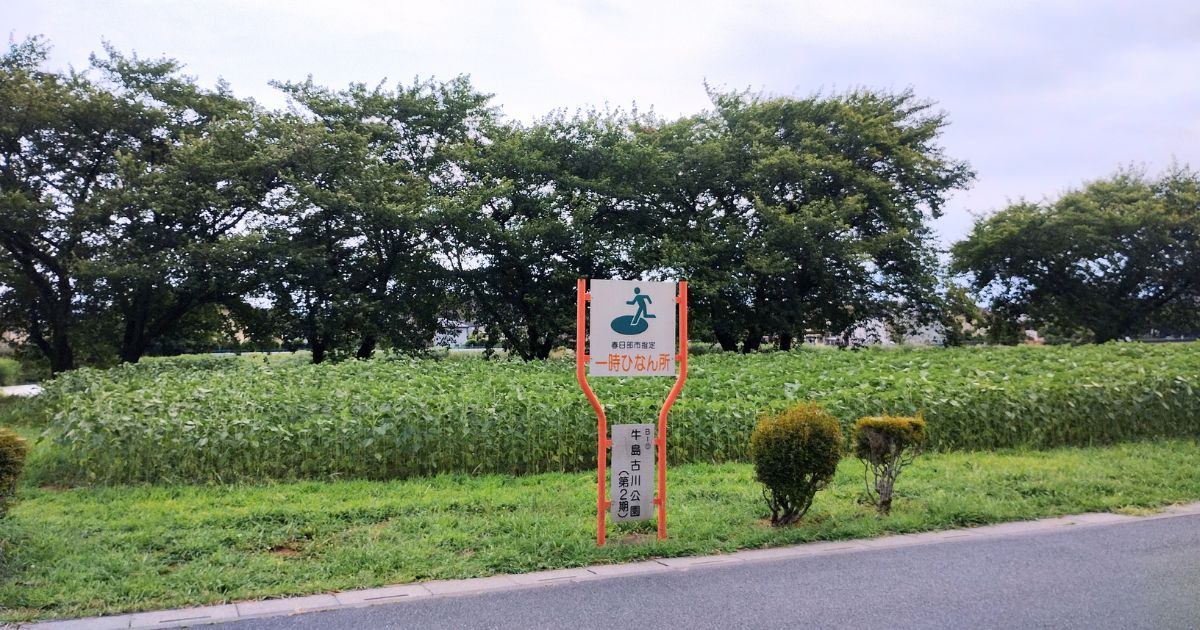 春日部市牛島古川公園（2026年8月2日撮影）