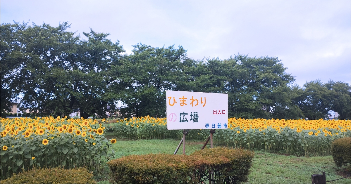 春日部市牛島古川公園（2026年8月14日撮影）