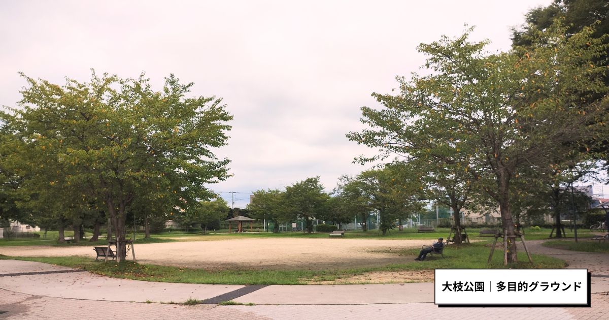 大枝公園|多目的グラウンド