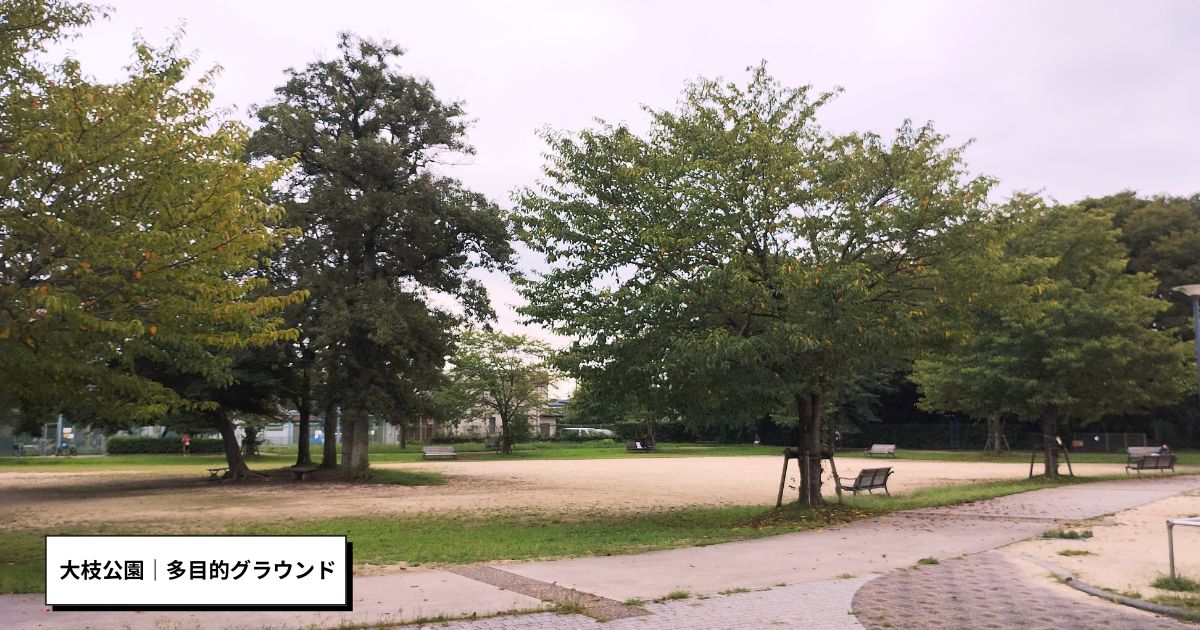 大枝公園|多目的グラウンド